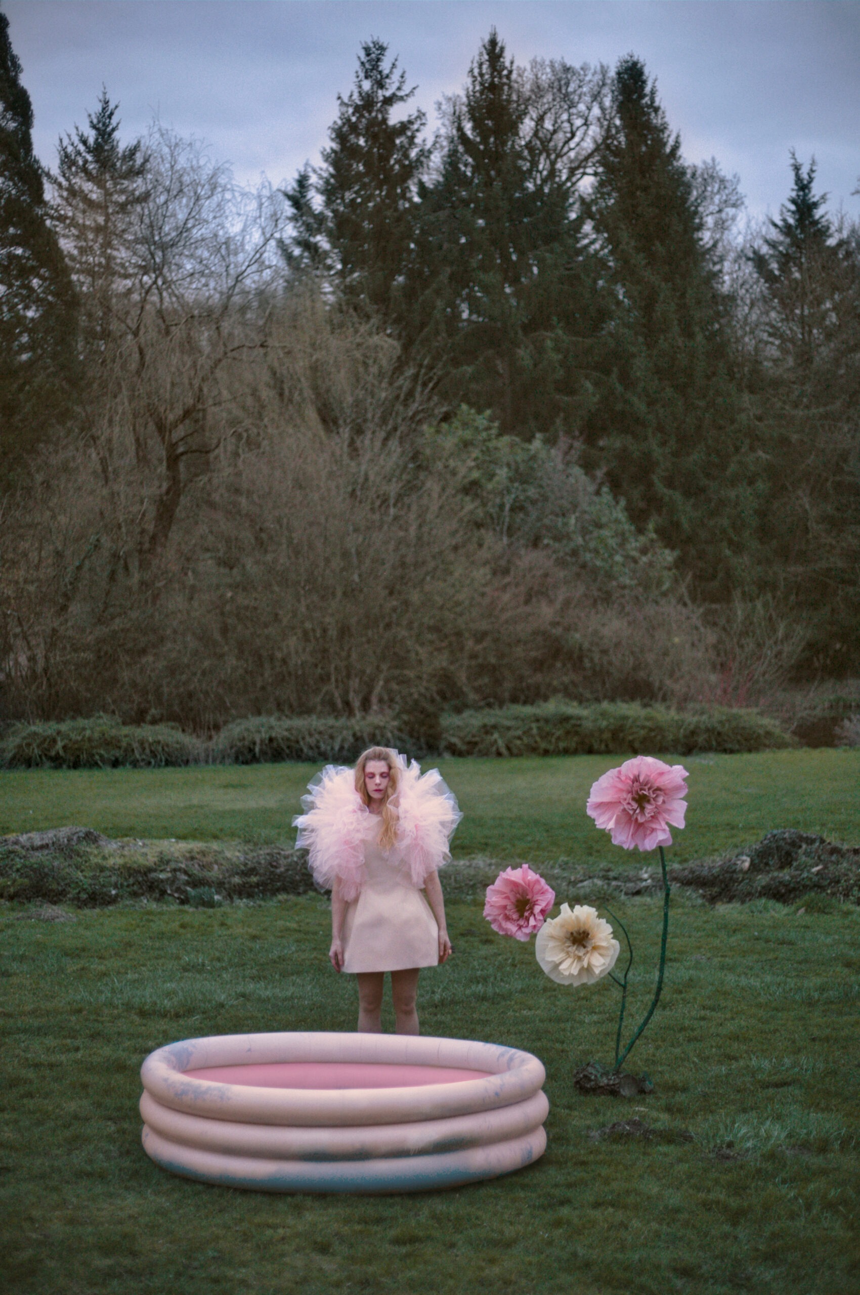 pink me I’m dreaming!